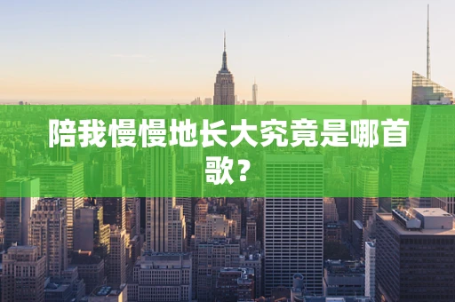 陪我慢慢地长大究竟是哪首歌？