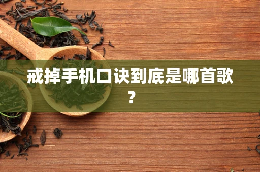戒掉手机口诀到底是哪首歌？