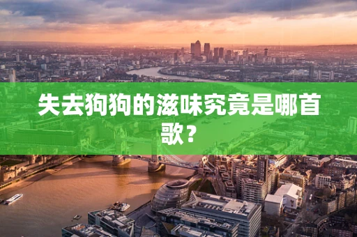 失去狗狗的滋味究竟是哪首歌？
