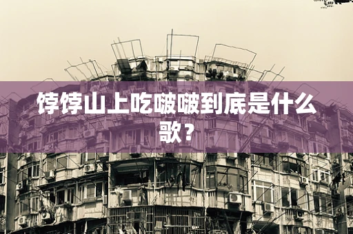饽饽山上吃啵啵到底是什么歌？