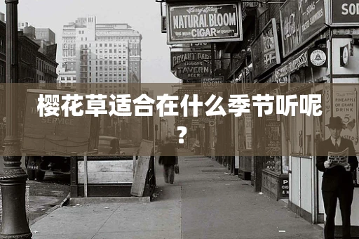 樱花草适合在什么季节听呢？