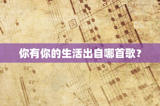 你有你的生活出自哪首歌？