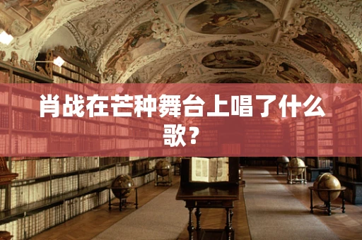 肖战在芒种舞台上唱了什么歌？