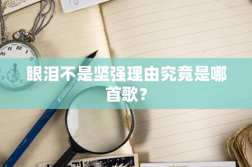 眼泪不是坚强理由究竟是哪首歌？