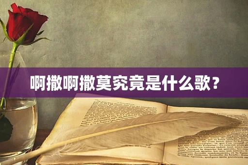 啊撒啊撒莫究竟是什么歌？
