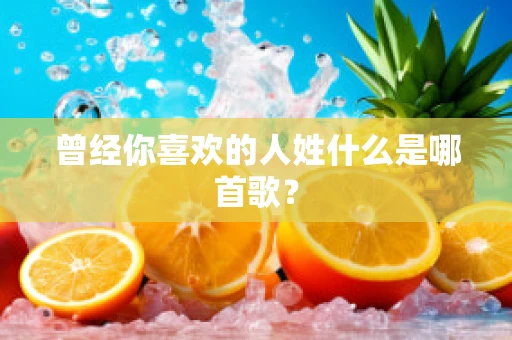 曾经你喜欢的人姓什么是哪首歌？