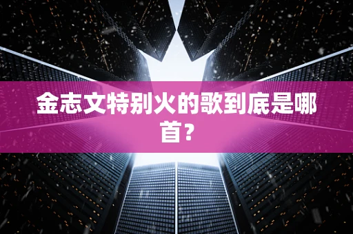 金志文特别火的歌到底是哪首？