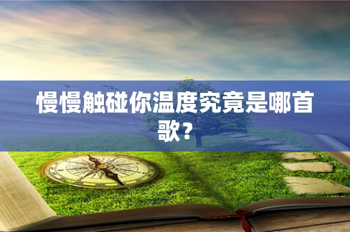 慢慢触碰你温度究竟是哪首歌？