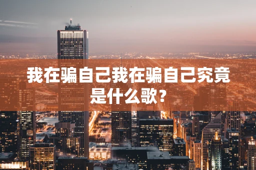 我在骗自己我在骗自己究竟是什么歌？