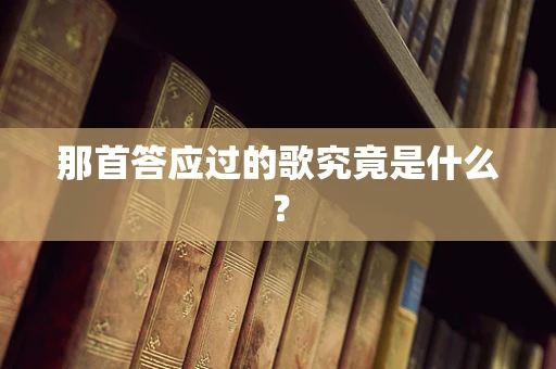 那首答应过的歌究竟是什么？