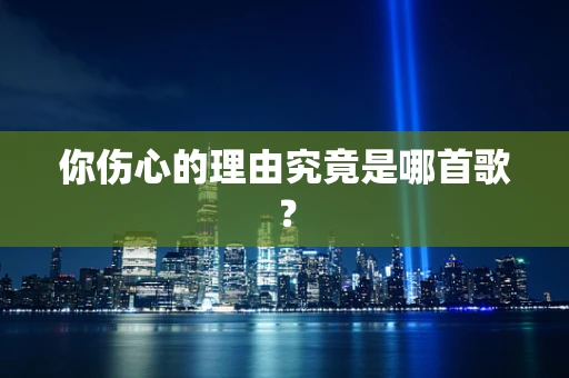 你伤心的理由究竟是哪首歌？