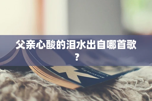 父亲心酸的泪水出自哪首歌？