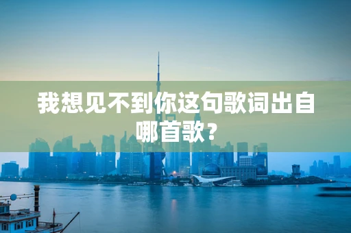 我想见不到你这句歌词出自哪首歌？