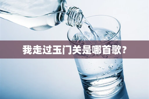我走过玉门关是哪首歌？