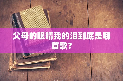 父母的眼睛我的泪到底是哪首歌？