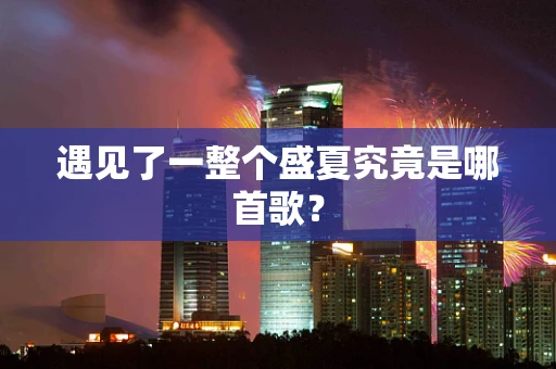 遇见了一整个盛夏究竟是哪首歌？