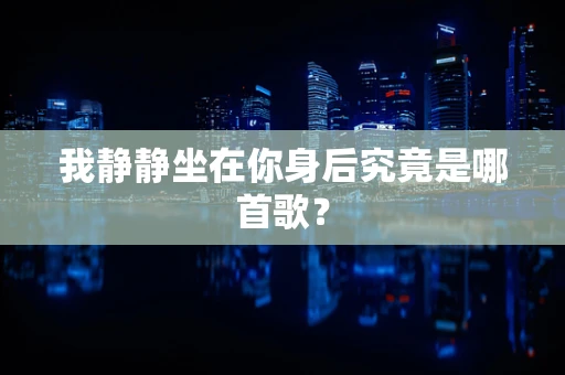 我静静坐在你身后究竟是哪首歌？