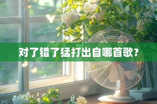 对了错了猛打出自哪首歌？