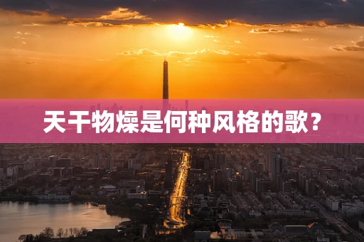 天干物燥是何种风格的歌？