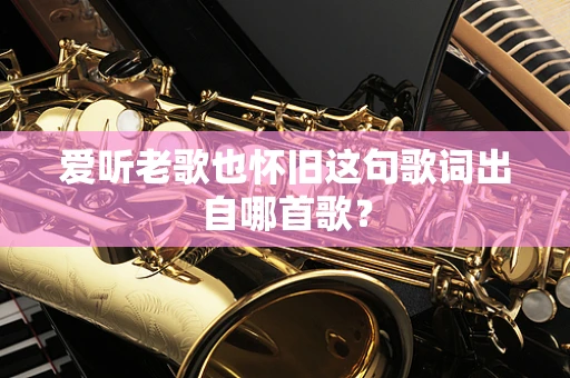 爱听老歌也怀旧这句歌词出自哪首歌？