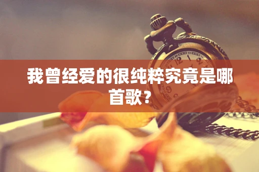 我曾经爱的很纯粹究竟是哪首歌？