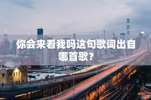 你会来看我吗这句歌词出自哪首歌？