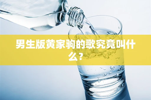 男生版黄家驹的歌究竟叫什么？
