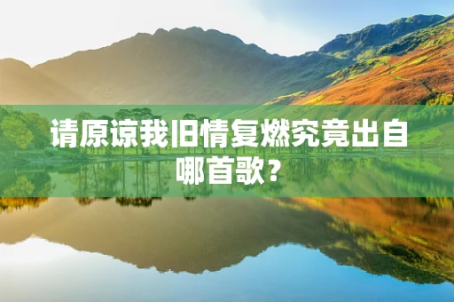 请原谅我旧情复燃究竟出自哪首歌？