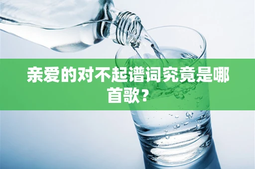 亲爱的对不起谱词究竟是哪首歌？
