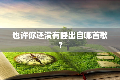 也许你还没有睡出自哪首歌？