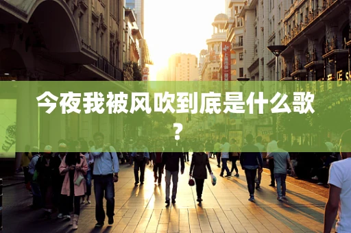 今夜我被风吹到底是什么歌？