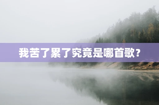 我苦了累了究竟是哪首歌？