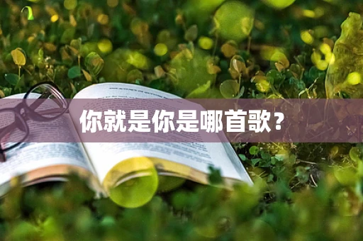 你就是你是哪首歌？