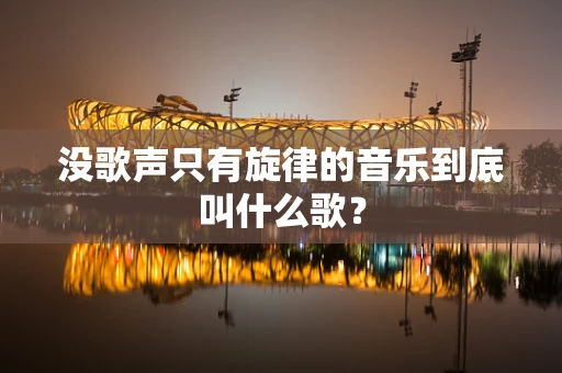 没歌声只有旋律的音乐到底叫什么歌？