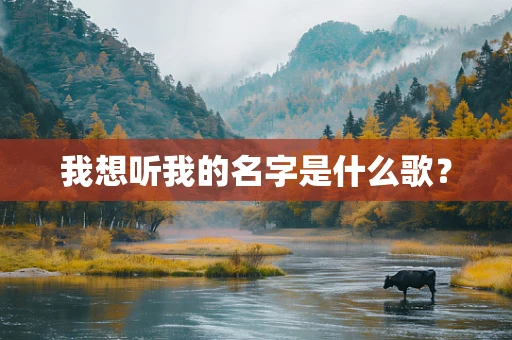 我想听我的名字是什么歌？