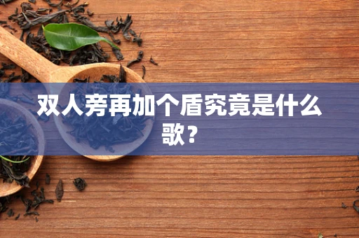 双人旁再加个盾究竟是什么歌？