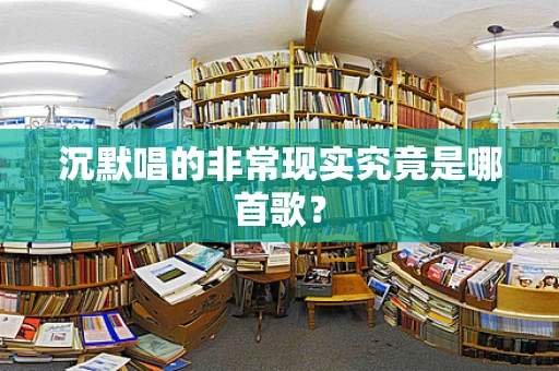沉默唱的非常现实究竟是哪首歌？