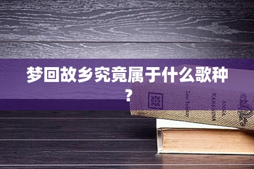 梦回故乡究竟属于什么歌种？