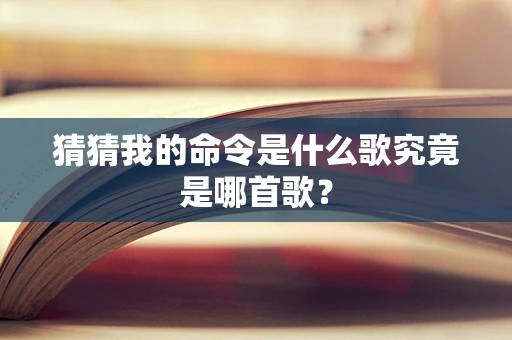 猜猜我的命令是什么歌究竟是哪首歌？