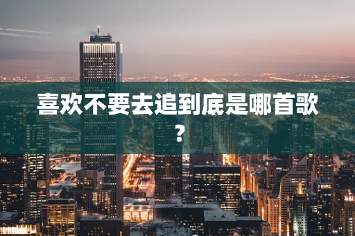 喜欢不要去追到底是哪首歌？
