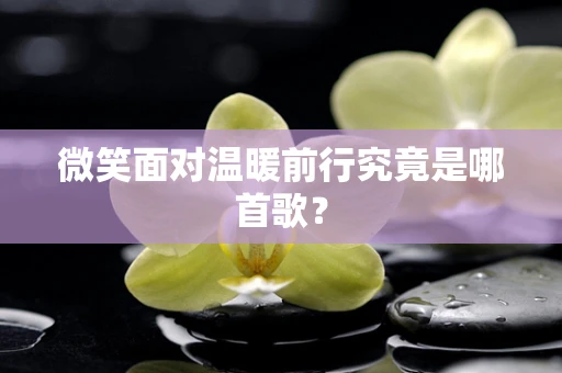 微笑面对温暖前行究竟是哪首歌？
