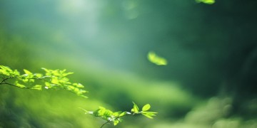 小爷我算不上流眠到底是哪首歌？