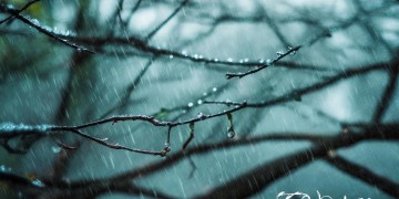雪花飘在雨天到底是哪首歌？