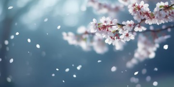 这份感情好好珍惜究竟是哪首歌？