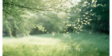 风吹轻轻动的歌到底叫什么名？