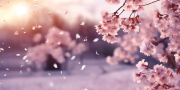 一想到你心就更宽阔究竟是哪首歌？