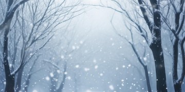 伴着风雪断情谊究竟是哪首歌？