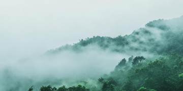 什么什么什么风的粤语歌，你听过哪些？