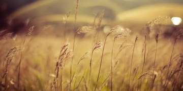 风吹过我的头发这句歌词出自哪首歌？