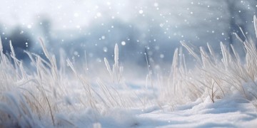 领取属于你的雪花出自哪首歌？